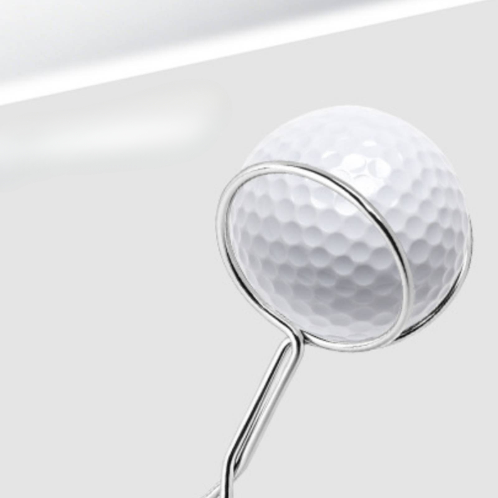 Golf Clubs - 스테인리스 스틸 소재의 골프공 회수기, 루프형